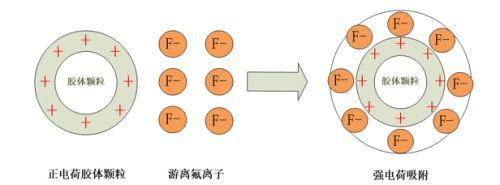 除氟设备的深度除氟作用机理是什么呢？